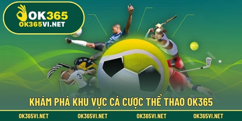 Khám phá khu vực cá cược thể thao OK365